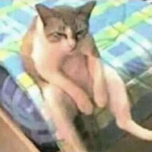 Meet your Posher, Bryce